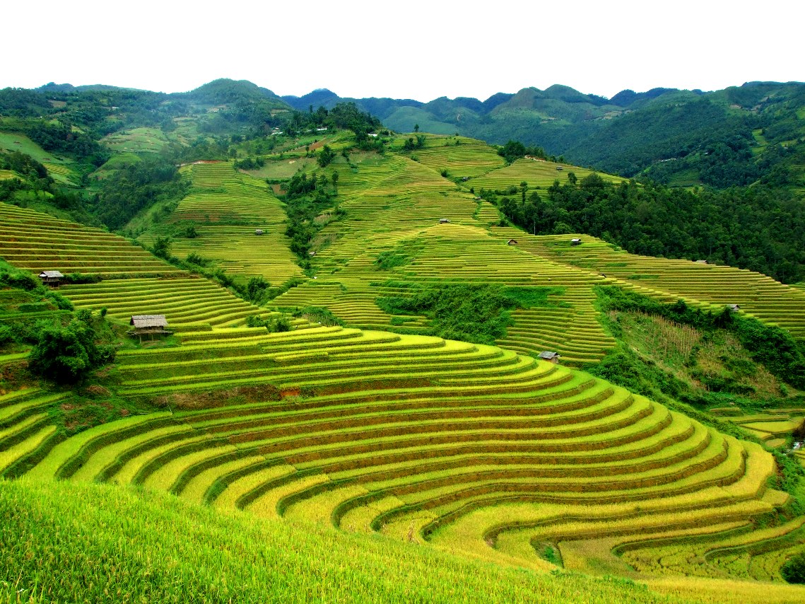 Vietnam Weather
