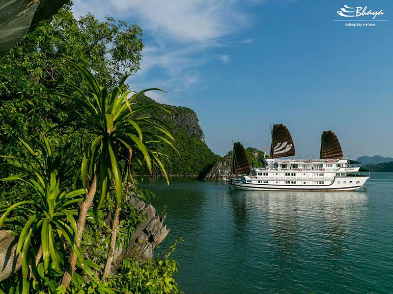 Bhaya-Classic-Cruise