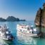 Bhaya-Classic-Cruise