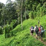 Ba Vi National Park