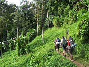 Ba Vi National Park