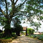 Duong Lam Ancient village