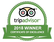 tripadvisor
