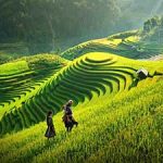 Sapa trains