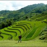 northwest vietnam